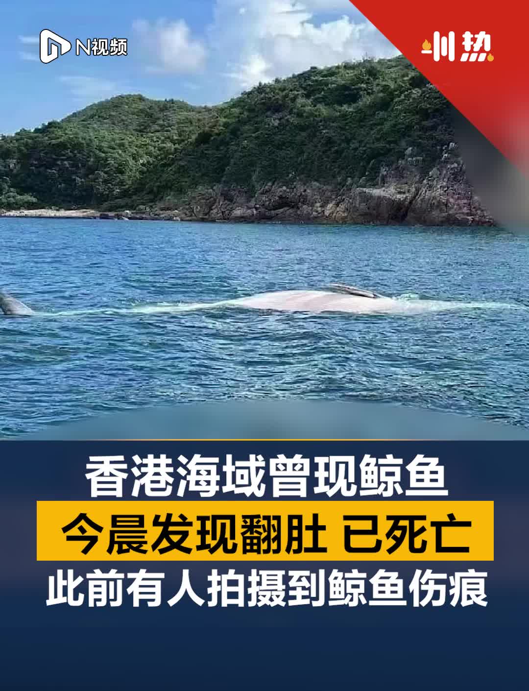 南都视频分享页